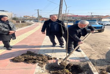 کاشت درخت به مناسبت روز درخت‌کاری در شفت